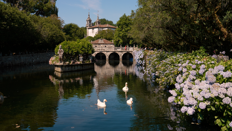 S & M, just a glimpse - decoration clip ♥